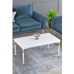 Canisa Concept Saray MDF ve Lake Boya Avangart Orta Sehpa