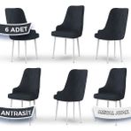 Canisa Concept Trex Serisi Babyface Kumaş Beyaz Metal Ayak 6 Adet Sandalye - Antrasit