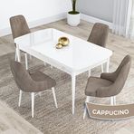 Canisa Kar Serisi 80x132 Açılabilir Mdf Beyaz Masa Takımı ve 4 Adet Cappucino Sandalye