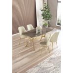 Canisa Lena Serisi 90x160 cm Antrasit İroni Gold Kaplama Ayaklı Masa Takımı, 4 Krem Sandalye