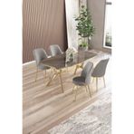 Canisa Lena Serisi 90x160 cm Lak Panel Antrasit Masa, Gold Kaplama Ayaklı, 4 Gri Sandalye Takımı