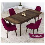 Canisa Noa Serisi MDF 80x132 cm Açılabilir Barok Ahşap Desen 4 Sandalye Gümüş Halkalı ve 1 Bench Mürdüm Mutfak Masası Takımı