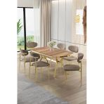 Canisa Olya Serisi 90X168 Lak Panel Hazar Masa Takımı Gold Ayaklı 6 Cappucino Sandalye