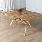Canisa Prah Serisi Sabit Mdf 90X160 Lak Panel Hazar Gold Ayaklı Mutfak Masası
