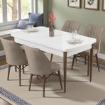 Canisa Radde Serisi 70X110 Sabit Beyaz Mutfak Masası Takımı 4 Sandalye - Cappuccino