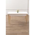 Canisa Rewa Serisi 70x110 cm Sabit Beyaz Gold Ayaklı Mutfak Masası