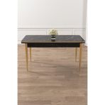 Canisa Rewa Serisi 70x110 cm Sabit Siyah Mermer Desen Gold Ayaklı Mutfak Masası