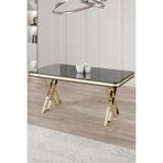 Canisa Rigel Serisi 80x130 cm Siyah Mermer Desen Sabit Mutfak Masası, Gold Ayaklı