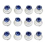 canjoyn 24 Adet Gelin Taşı Dönen Saç İğneleri Sarmal Saç Bükümleri Bobinler Düğün Spiral Bükümlü Saç Tokaları Parlak Yapay Elmas Kristal Twisters Metal Spiral Updo Balo (Mavi)