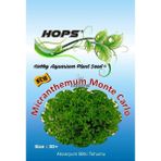 Canlı Petshop Hops Akvaryum Için Canlı Bitki Tohumu Monte Carlo