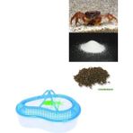 Canlı Petshop Tatlısu Yengeci ve Teraryumu Yaşam Alanı (Teraryum+Kum+Yem+Yengeç) Komple Set