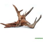 Canlı Petshop Yati Kökü (Red Moor Wood )- M - 10-15 cm