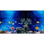 Canlipetshop Arka Fon Deniz Akvaryumu 50 cm Uzunluk Yükseklik 60 cm No : 9081