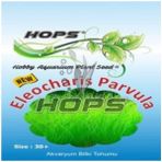 Canlipetshop Hops Akvaryum Için Canlı Bitki Tohumu Parvula