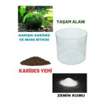Canlipetshop .karides Teraryumu Yaşam Alanı (Teraryumu+Yemi+Karides) Komple Set