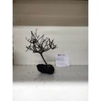 Canlipetshop Özel Tasarım Akvaryum Dekoratif Ağaç Kaya 20*15 cm No:30