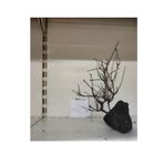 Canlipetshop Özel Tasarım Akvaryum Dekoratif Ağaç Kaya 22*18 cm No 55