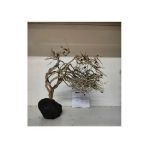 Canlipetshop Özel Tasarım Akvaryum Dekoratif Ağaç Kaya 25*23 Cm No:23