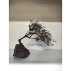 Canlipetshop Özel Tasarım Akvaryum Dekoratif Ağaç Kaya 27*22 cm No:20