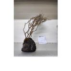 Canlipetshop Özel Tasarım Akvaryum Dekoratif Ağaç Kaya 28*15 cm No 40