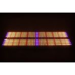 Canna Quantum 2000w Bitki Yetiştirme Lambası Full Spectrum Grow LED