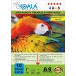 Canon E484 Yazıcı Için Pg-46 Cl-56 ile Uyumlu Premium Parlak Çift Taraflı Double Side A4 Fotoğraf Kağıdı 300 Gr. 10 Adet