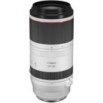 Canon RF100-500MM F4.5-7.1 L IS Lens