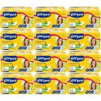 Canped Mesane Pedi 12 Paket