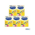 Canped Mesane Pedi Yoğun L Beden 100 Lü PKT.CANPED.128 L