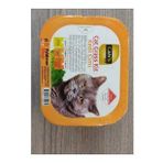 Can's Cat Kedi Çimi