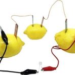cansares Pil Yapma Deney Seti, Limon Pili Kimyasal Enerjiyle Elektrik Yapma Asitli Limon Ve Meyveden