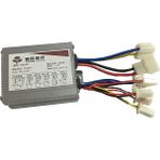 Cansın Motors 24V 250 W Dc Fırçalı Motor Beyni