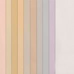 Canson 10'lu Pastel Tonlar 50x65 160 g Fon Kartonu