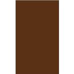 Canson Dokulu Kahverengi Mi-Teintes 50x65 CM 160 GR Brown 340 10'lu Fon Kartonu