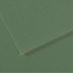 Canson Dokulu Mi-Teintes Sh Canmt 50x65 cm 160 gr Grn Sage Yeşil 190 10'lu Fon Kartonu