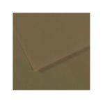 Canson Dokulu Mi-Teintes Sh Canmt 50x65 cm 160 gr Grn Zeytin Yeşili 191 10'lu Fon Kartonu