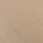 Canson Fon Kartonu (dokulu) Mı-teıntes 50x65 160 Gr Grey 343