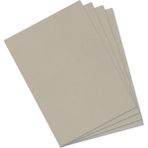 canson fon kartonu (dokulu) mi-teintes 50x65 160 gram grey gri 343 (10 lu paket) - Yok