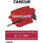 Canson Graduate Huile Acrylique Defter A3 290GR 20 Yaprak - Karışık-Çok Renkli - standart