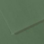 Canson GRN 190 Dokulu Mi-Teintes Sh Canmt 50x65 CM 160 GR Fon Kartonu