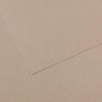 Canson No 122 Mi-Teintes 160 gr 50x65 cm Flannel Grey Pastel Kağıdı