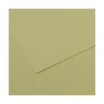 Canson Sh Canmt 50x65 cm 160 gr Green 480 10'lu Fon Kartonu