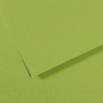Canson Sh Canmt 50x65 CM 160 GR Pastel Dokulu GRN 475 10'lu Fon Kartonu
