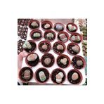 cantropikal Lithops 10 Farklı Yaşayan Taş Seti. Taş Kaktüs Sukulent Mesemb