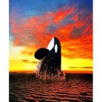 Canvas Hobby Balina Kasnaklı 90 x 110 cm Sayılarla Boyama Seti
