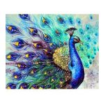 Canvas Hobby Bereket Tavus Kuşu Kasnaklı 90 x 110 cm Sayılarla Boyama Seti