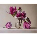 Canvas Hobby Cam Saksı ve Pempe Çiçekler Kasnaklı 40 x 50 cm Sayılarla Boyama Seti