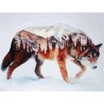 Canvas Hobby Canvas Kurt 40 x 50 cm Kasnaklı Sayılarla Boyama Seti