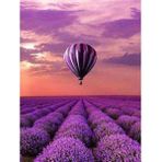 Canvas Hobby Canvas Lavanta Bahçesi ve Balon 60 x 75 cm Kasnaklı Sayılarla Boyama Seti
