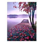 Canvas Hobby Canvas Manzara İskelesi 40 x 50 cm Kasnaklı Sayılarla Boyama Seti